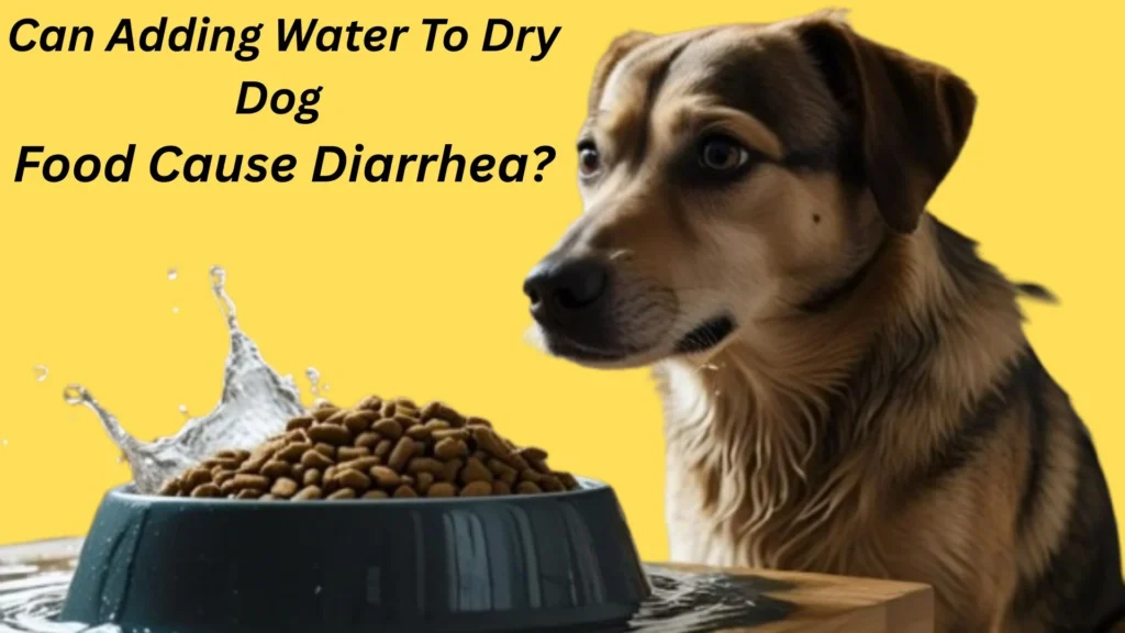 Can Adding Water To Dry Dog Food Cause Diarrhea