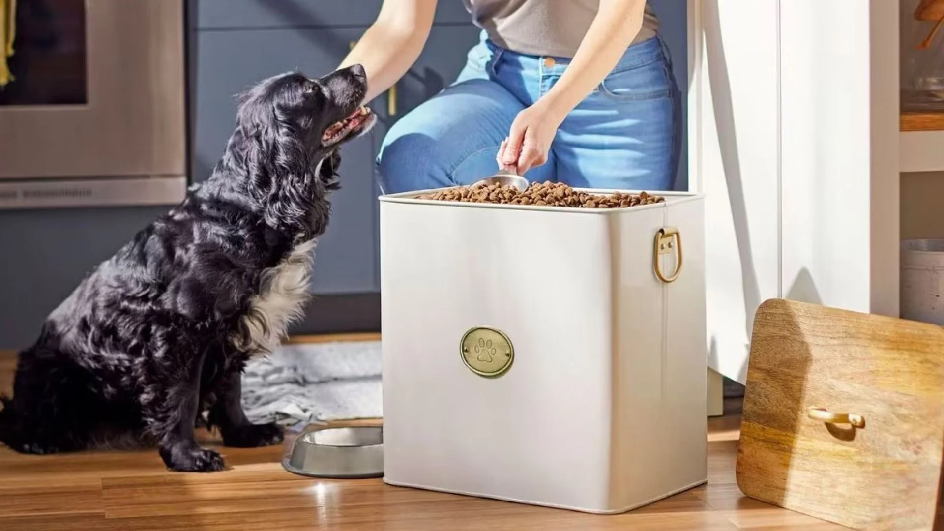 Can You Freeze Canned Dog Food