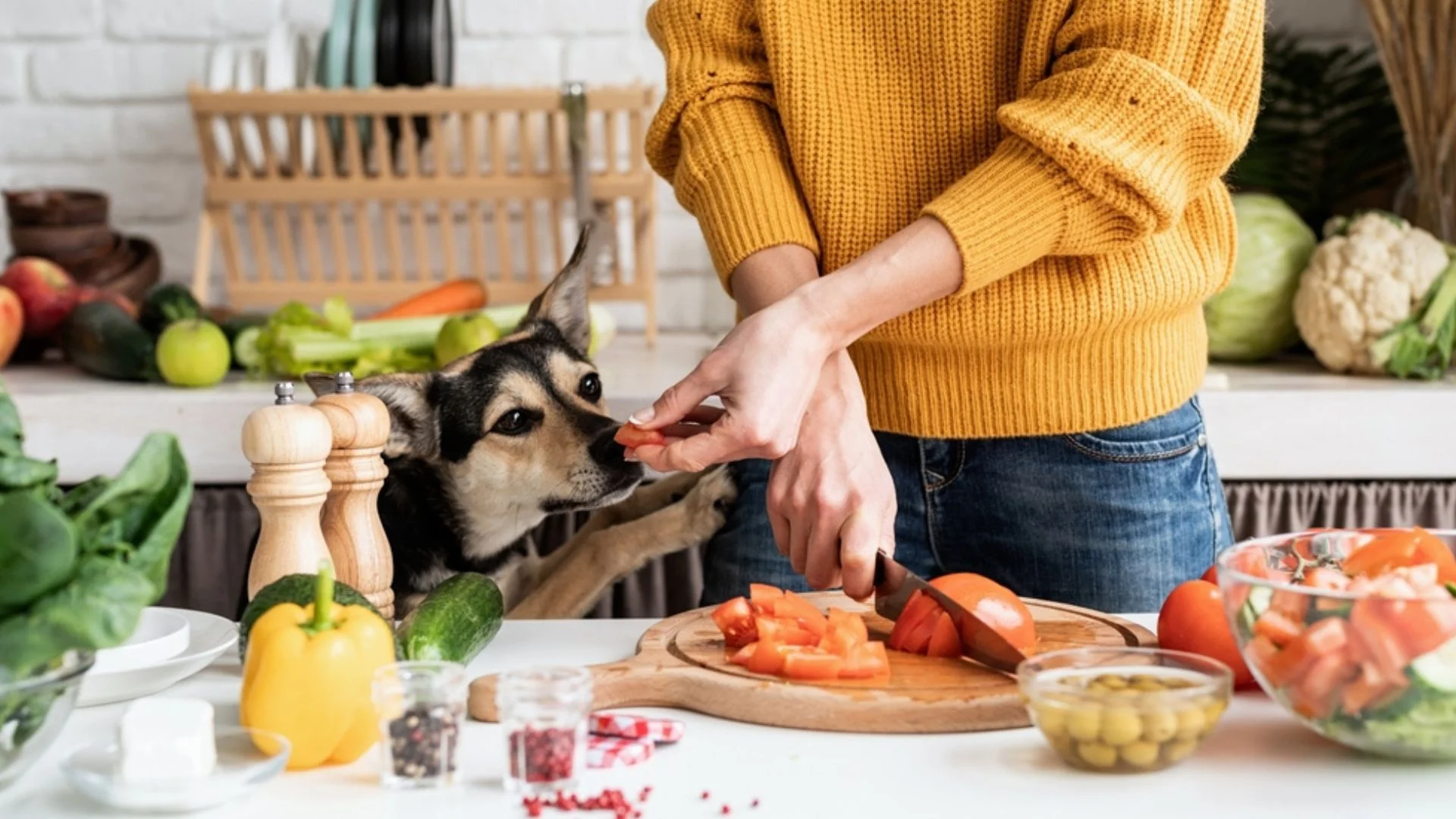How Much To Feed Homemade Dog Food