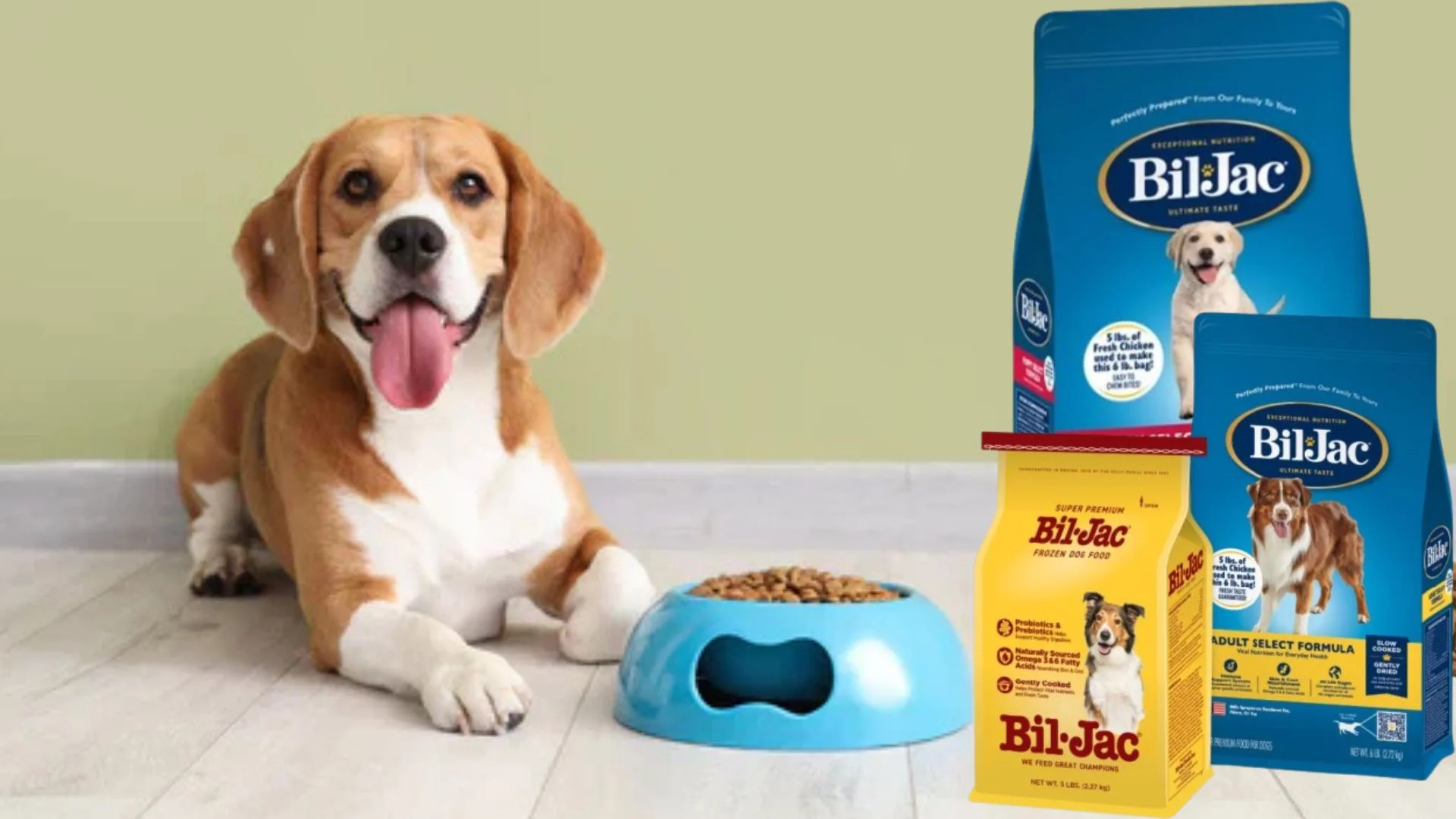 Is Bil-Jac A Good Dog Food