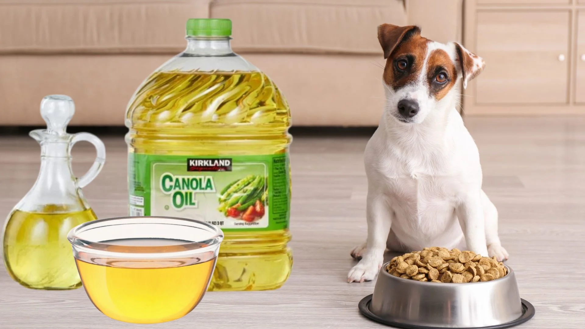 Is Canola Oil In Dog Food Bad
