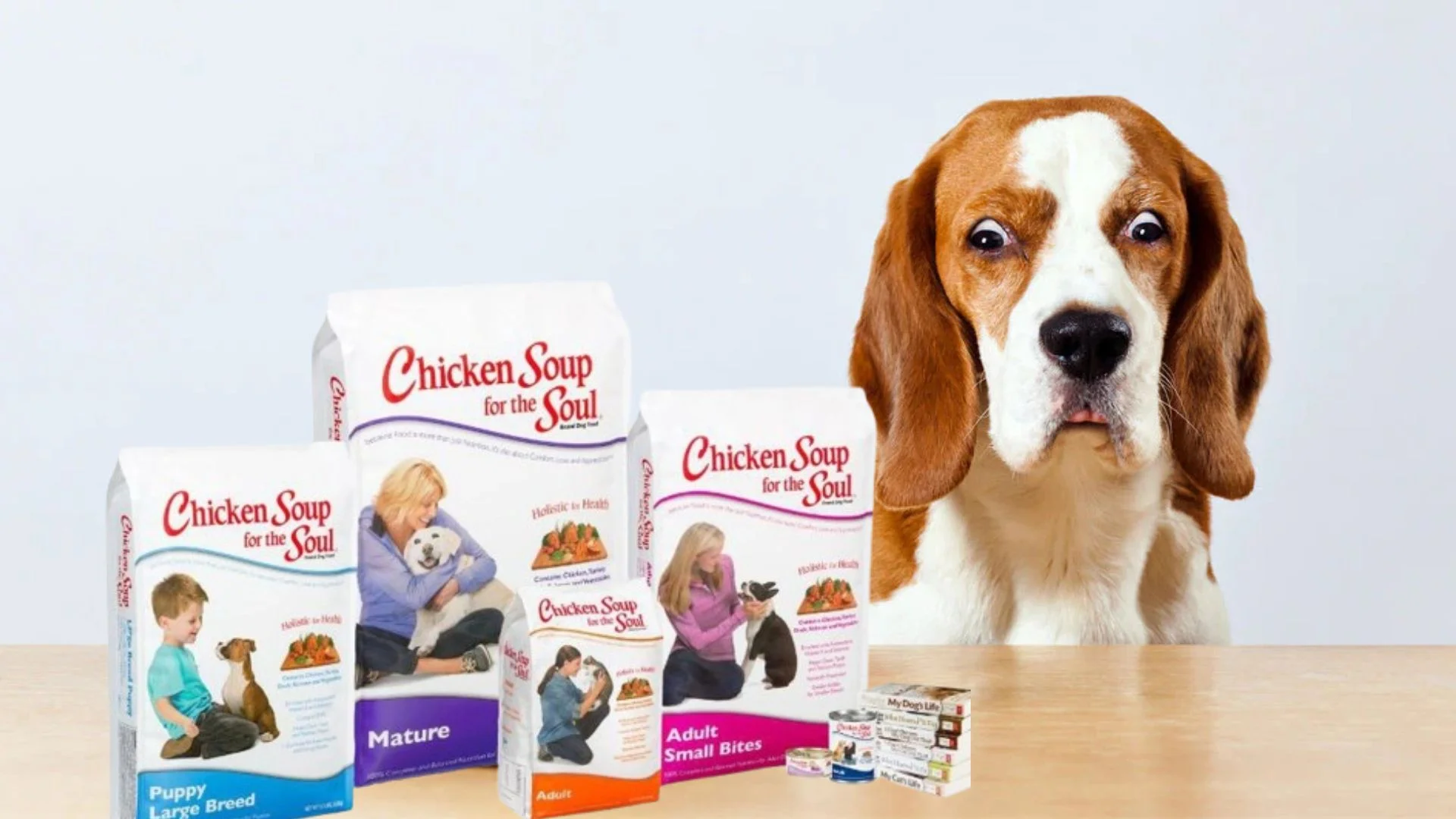 Is Chicken Soup For The Soul Dog Food Good