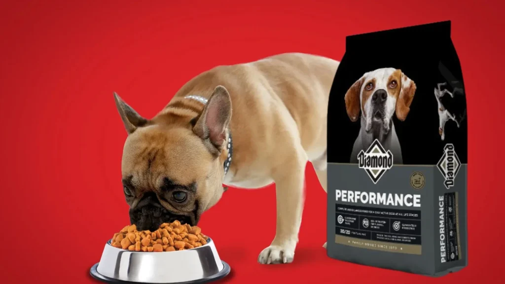 Is Diamond Dog Food a Good Brand
