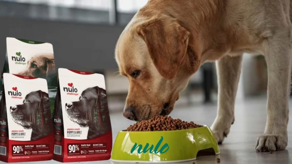 Is Nulo Dog Food Being Discontinued