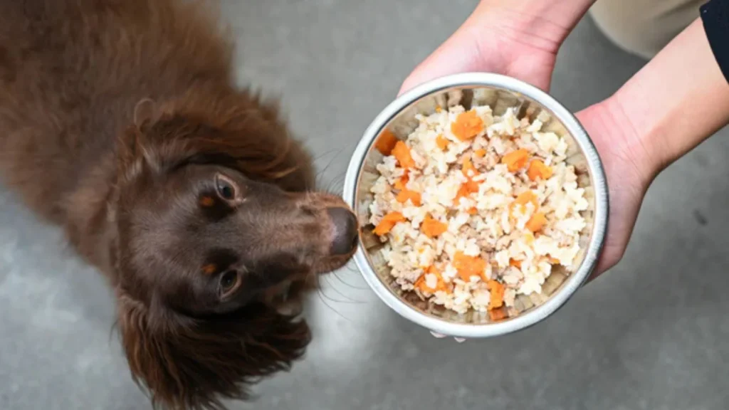 What Is Brewers Rice In Dog Food