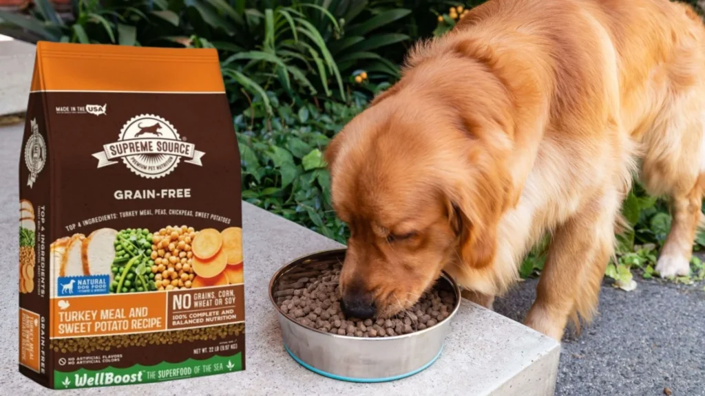 What Is Turkey Meal In Dog Food