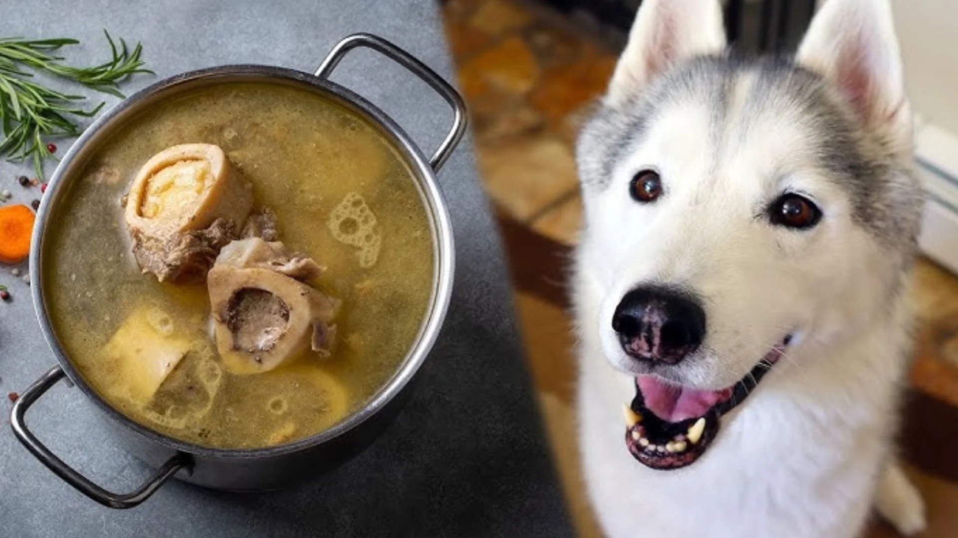 Bone Broth For Dogs Recipe