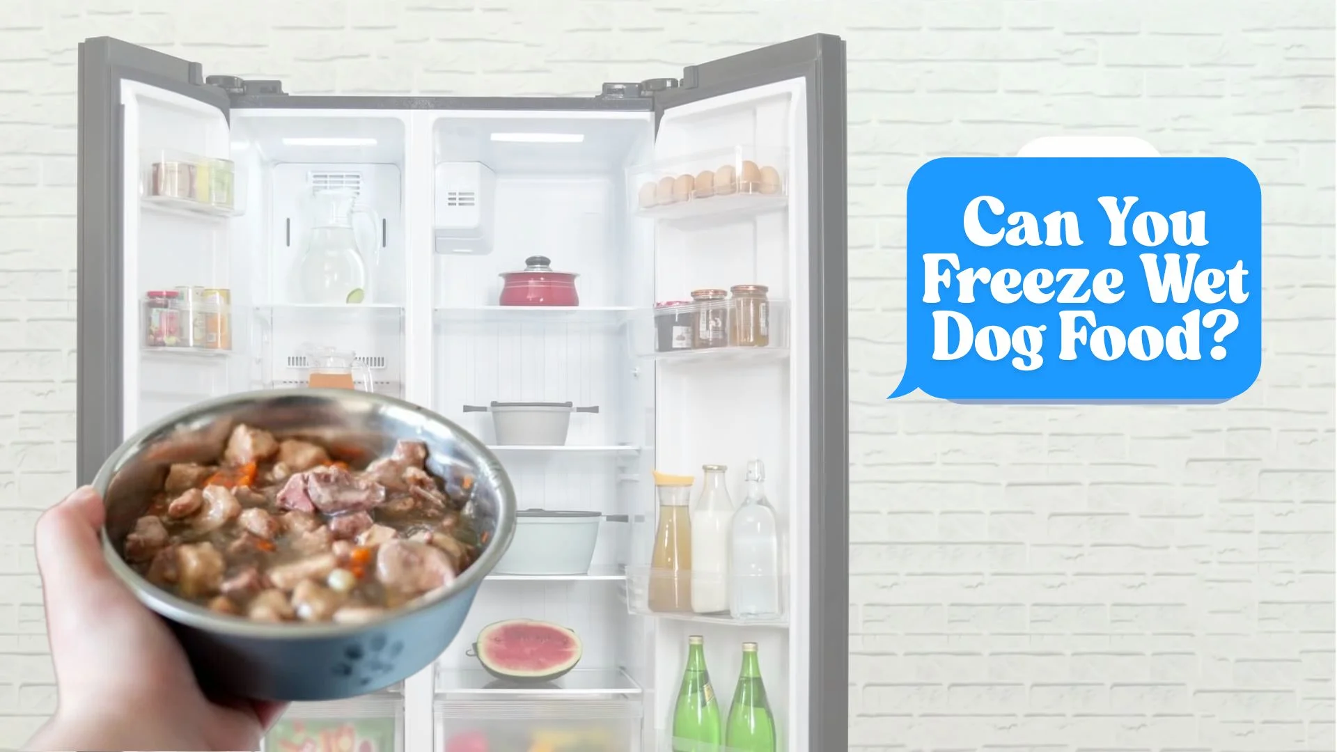 Can You Freeze Wet Dog Food
