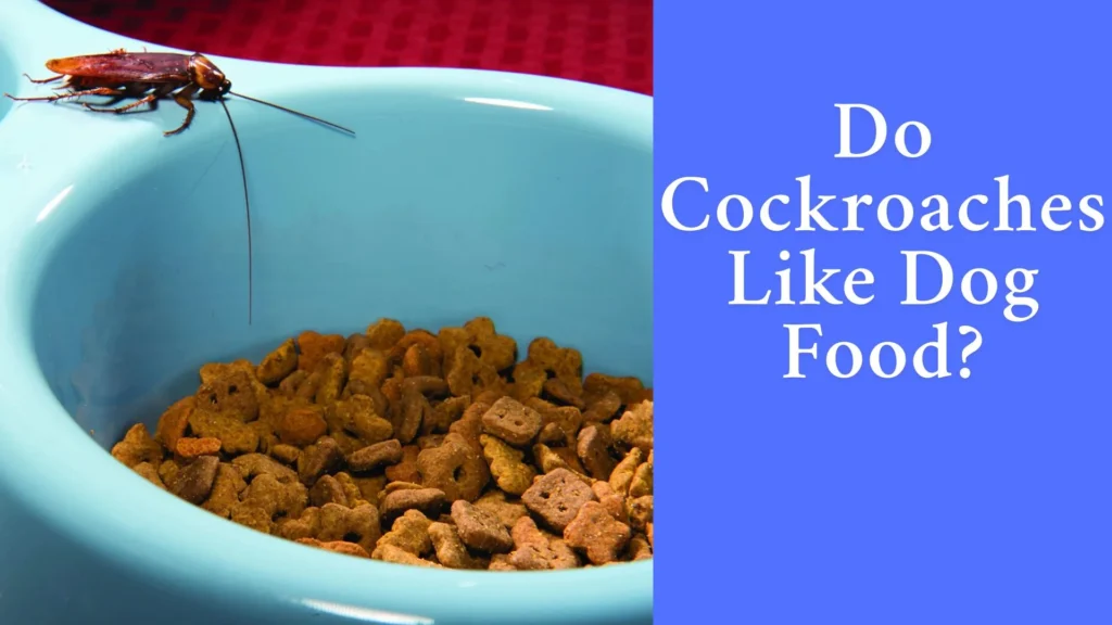 Do Cockroaches Like Dog Food