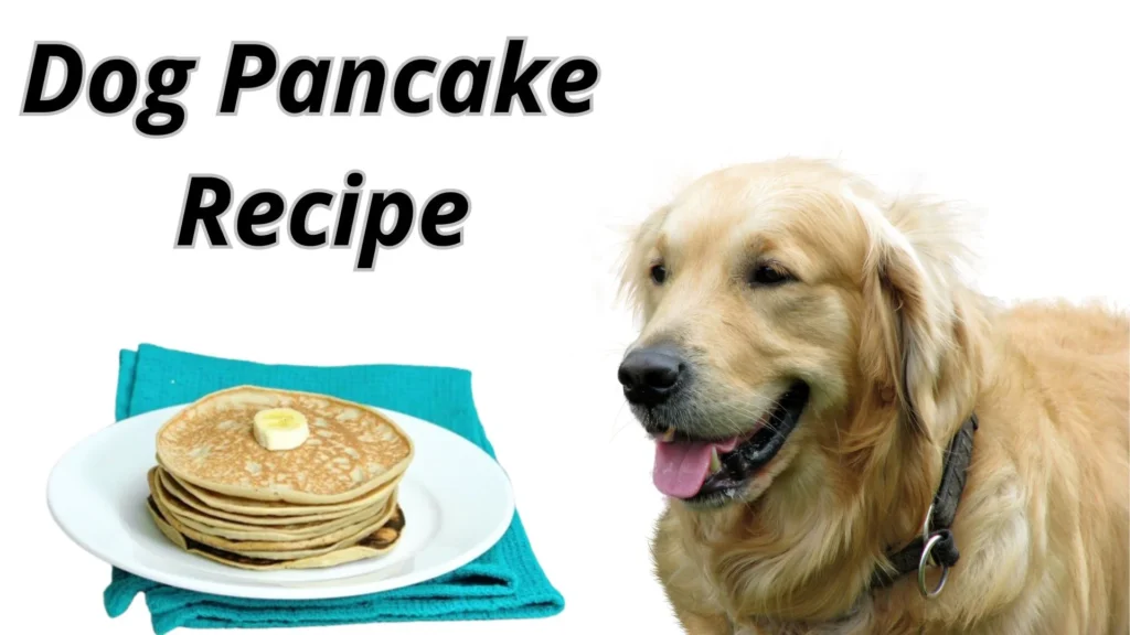Dog Pancake Recipe