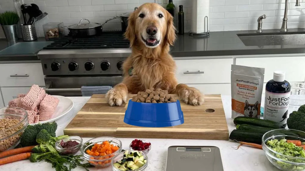 How To Make Dry Dog Food