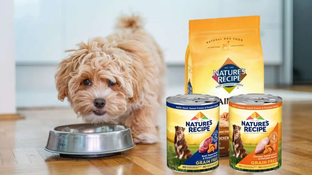 Is Natures Recipe a Good Dog Food