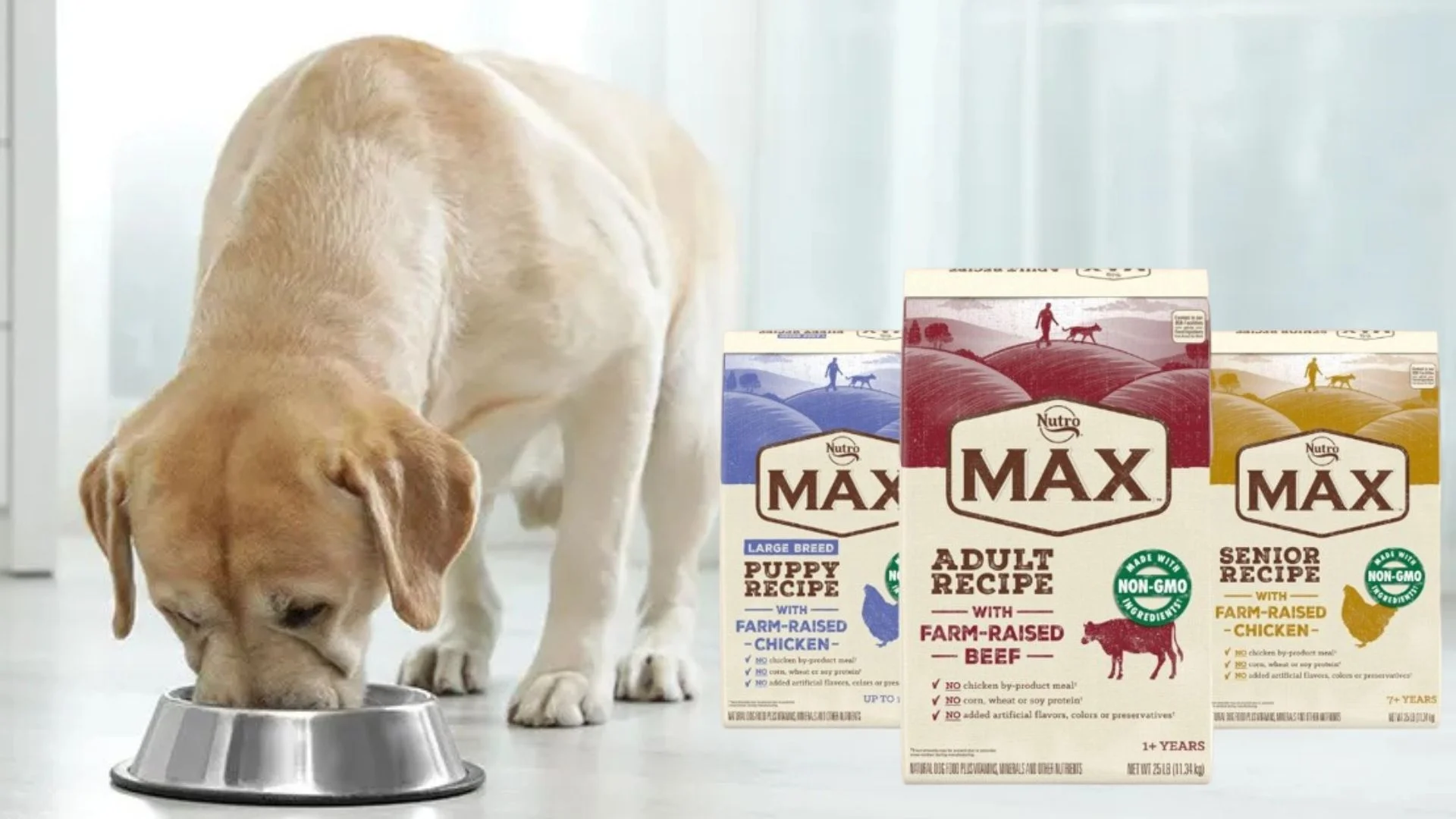 Is Nutro Max A Good Dog Food