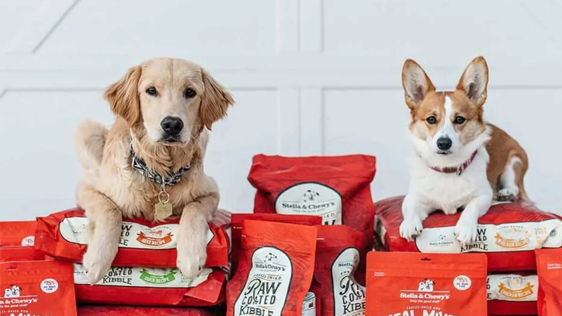 Is Stella And Chewy Good Dog Food