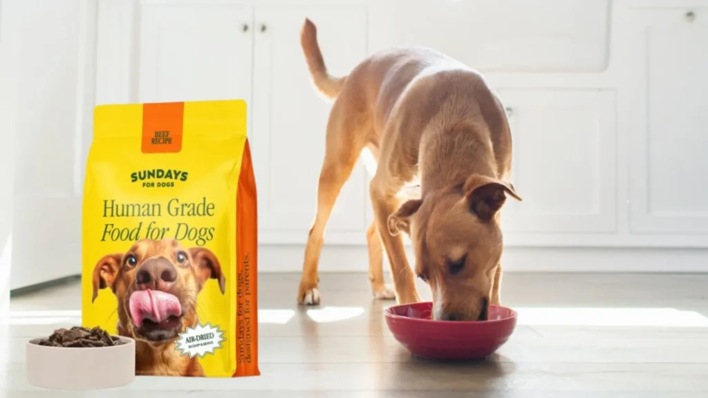 Is Sundays Dog Food Grain-Free