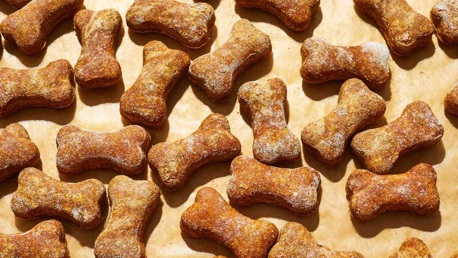 Pumpkin Dog Food Recipe