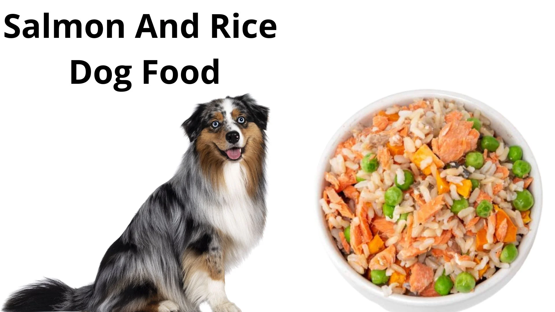 Salmon And Rice Dog Food