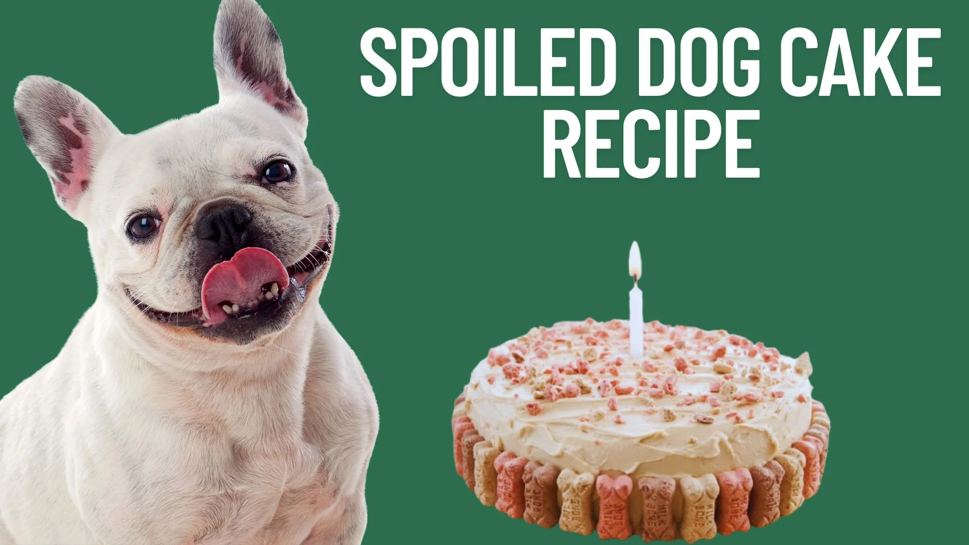 Spoiled Dog Cake Recipe