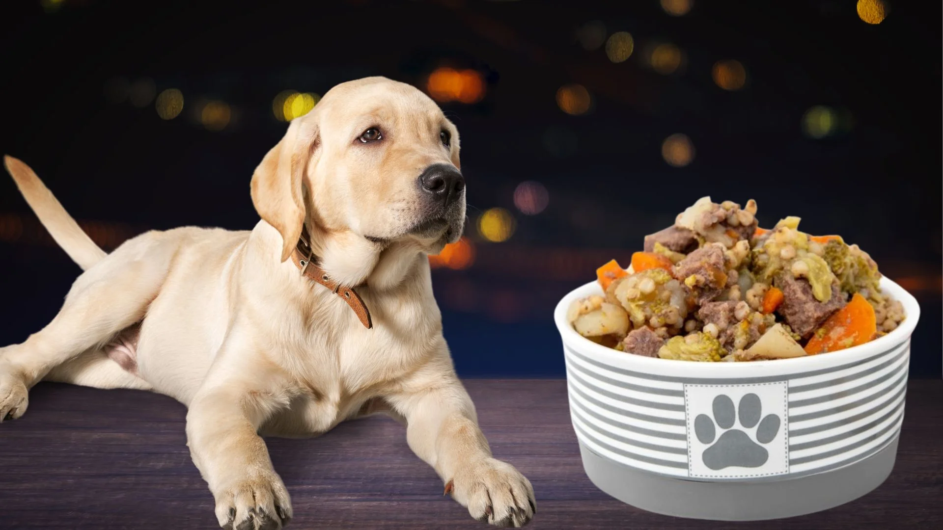 Venison Dog Food Recipe