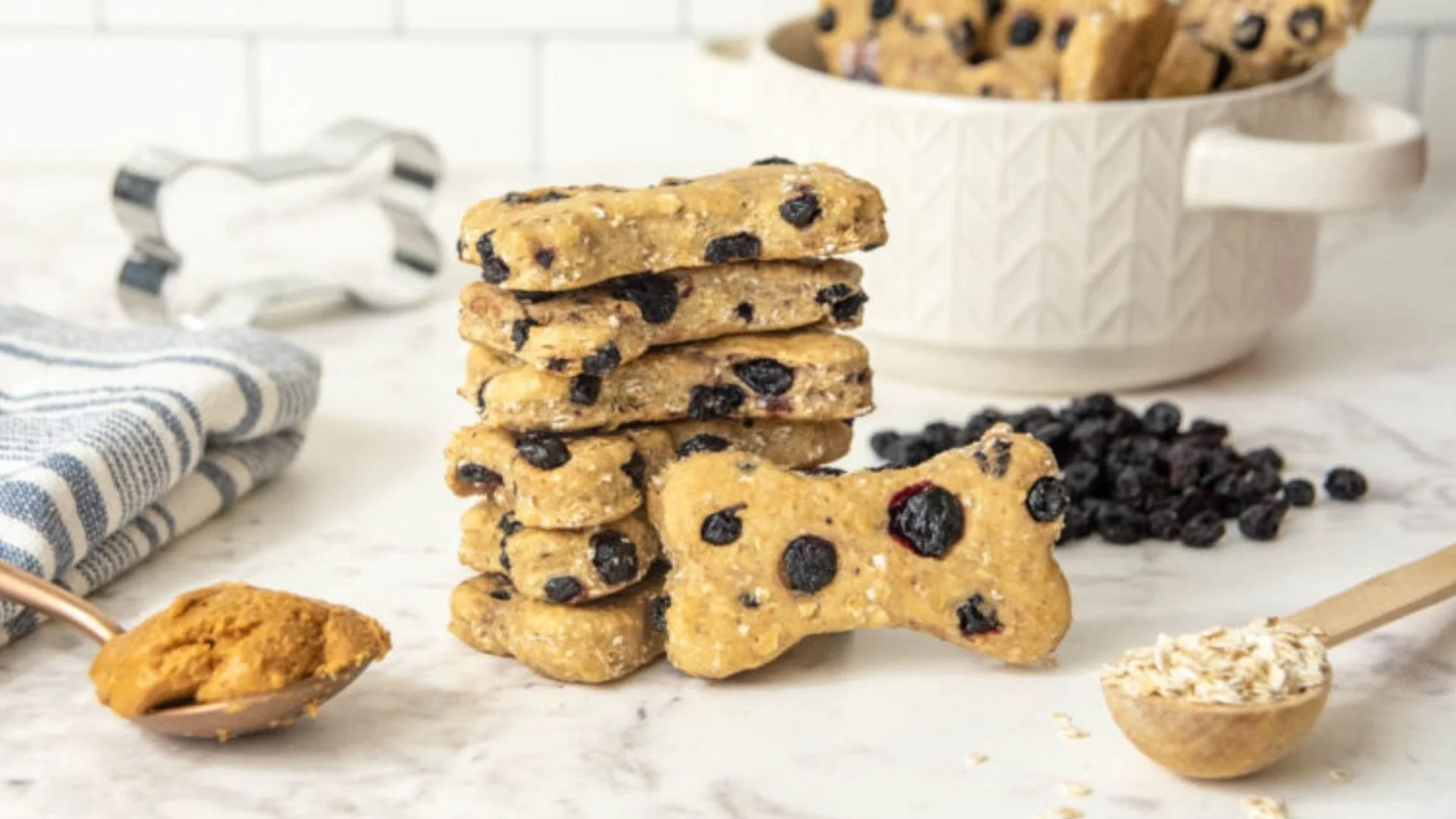 Blueberry Dog Biscuit Recipe