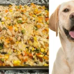 Chicken Stew Recipe For Dogs