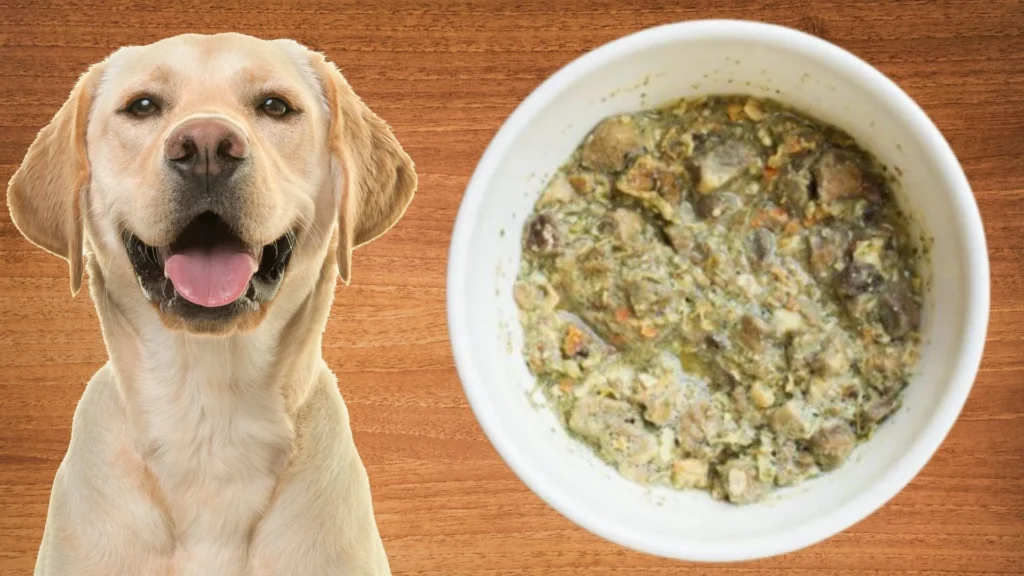 Dehydrated Dog Food Recipes