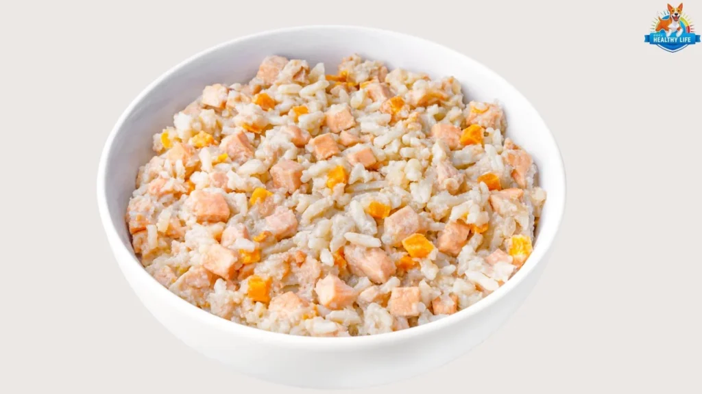Dog Bland Diet Recipe