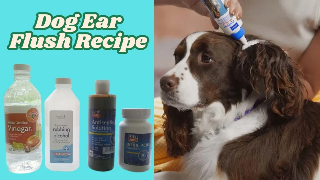 Dog Ear Flush Recipe